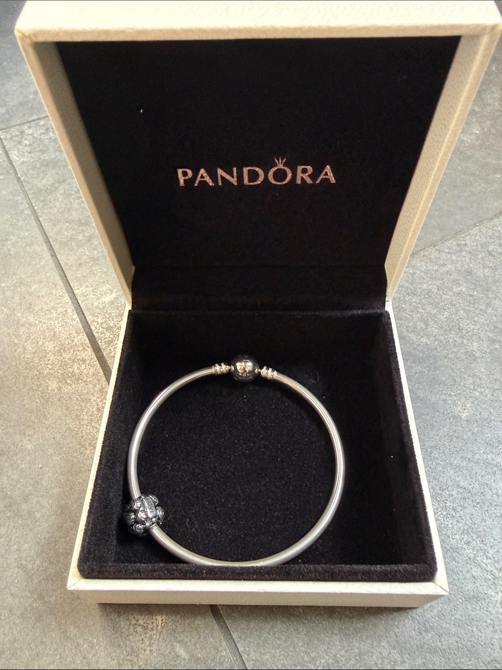 Psndora silver moments bracelet w Family charm
